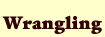 Wrangling
